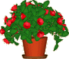 This revolutionary program brings life to your desktop. A DesktopPlant grows directly on your desktop and needs your care just like a real plant! See for yourself how amazingly realistic these plants are!