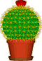 Cactus Screenshot